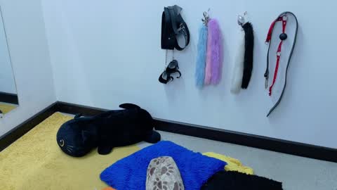 Snapshot of cat_white chatting on 01.21.25 Cata online show from 01.21.25