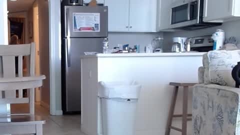 Snapshot of charleyandsmokie chatting on 10.31.25 charleyandsmokie online show from 10.31.25