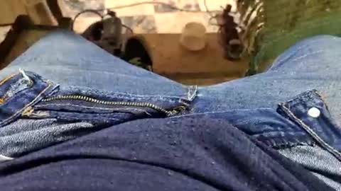 Snapshot of charly2289 chatting on 09.14.25 Parcero online show from 09.14.25