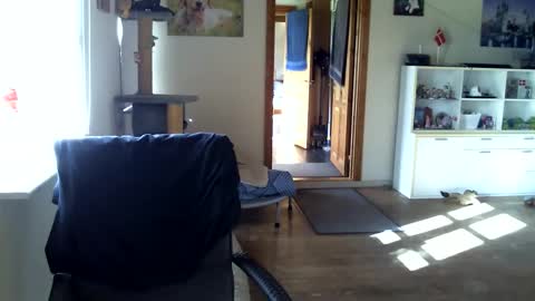 Snapshot of chefben666 chatting on 10.16.25 chefben666 online show from 10.16.25