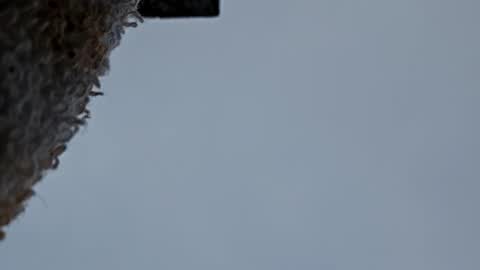 Snapshot of cheffydl chatting on 11.09.25 cheffydl online show from 11.09.25