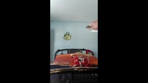 chichibird online show from 12.04.25