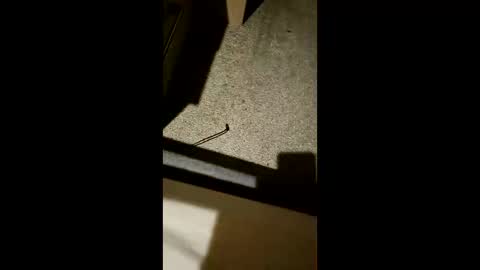 Snapshot of chrisgogo121 chatting on 11.17.25 chrisgogo121 online show from 11.17.25