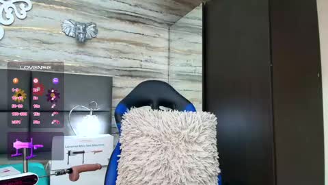 ...   ... online show from 01.26.25