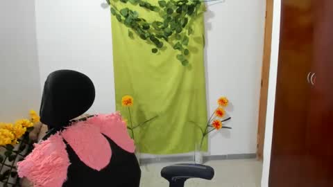 Snapshot of corzoethan chatting on 12.28.24 Ethan online show from 12.28.24