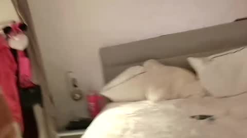 Snapshot of coupletoy97 chatting on 02.13.25 Sandra and Tom online show from 02.13.25