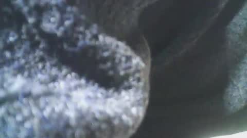 Snapshot of cplmature87 chatting on 02.20.25 cplmature87 online show from 02.20.25