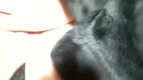 Snapshot of cutandwaxed2 chatting on 03.05.25 BI SMOOTH MATURE  SUB online show from 03.05.25