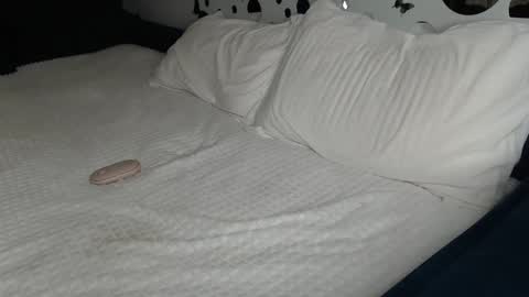 Anna online show from 01.27.25