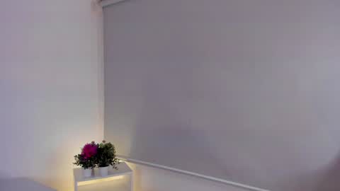Snapshot of cylie_lee chatting on 12.28.24 Cylie online show from 12.28.24