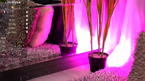 Ivy online show from 11.14.25