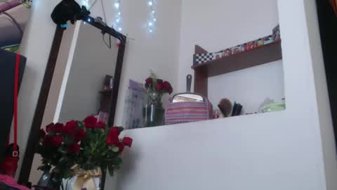 Snapshot of dakota_dark_ chatting on 02.17.25 Dakota online show from 02.17.25