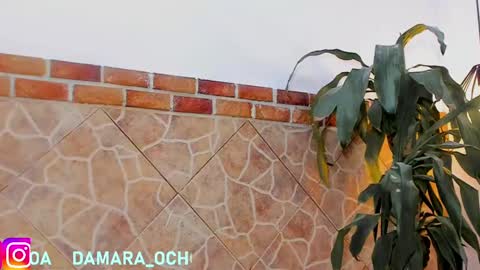         online show from 02.22.25