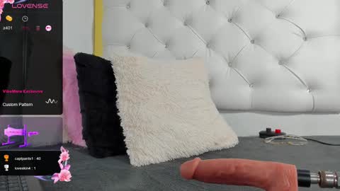 Snapshot of dani_ary chatting on 02.26.25 DANI online show from 02.26.25