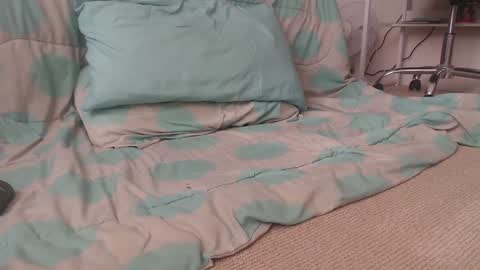 Snapshot of davselfs chatting on 12.02.24 dav online show from 12.02.24