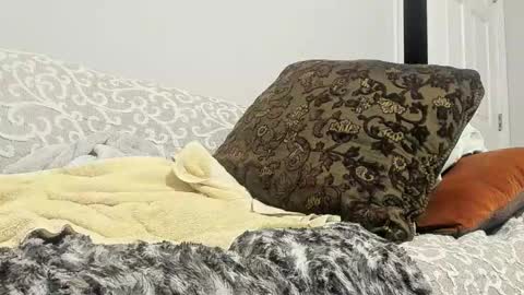 Snapshot of deeznutz343 chatting on 02.24.25 Deez Nutz online show from 02.24.25