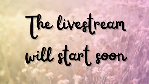 DeLite  Next stream on Wednesday or Thurdsay  online show from 03.11.25