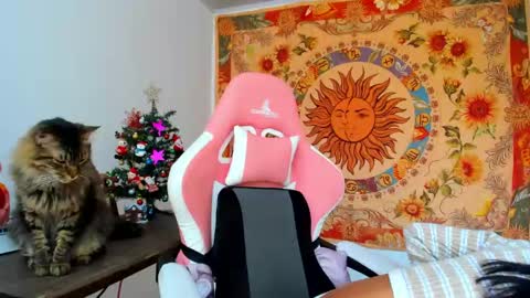 demeter__ online show from 12.11.24