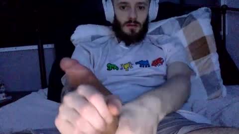 digbicknik online show from 02.11.25