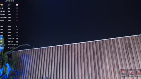 Snapshot of dilanjonnes chatting on 01.26.25 DilanJonnes online show from 01.26.25