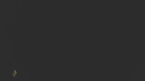 Snapshot of dinchtcams chatting on 02.24.25 Dincht online show from 02.24.25