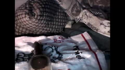 djangodave569829 online show from 10.04.25