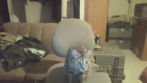 Snapshot of drac2009 chatting on 01.28.25 drac2009 online show from 01.28.25