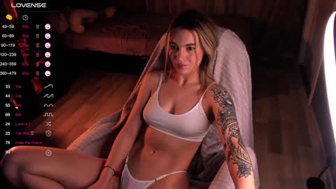 Snapshot of dreamaise chatting on 12.13.24  Mary   pvt open    use pink and blue app lovense online show from 12.13.24