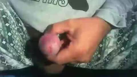 Snapshot of dude_13 chatting on 10.16.25 dude_13 online show from 10.16.25