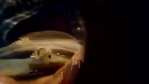 dusterdime online show from 10.08.25