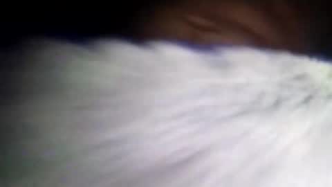Snapshot of duvanarleyy chatting on 10.16.25 duvanarleyy online show from 10.16.25