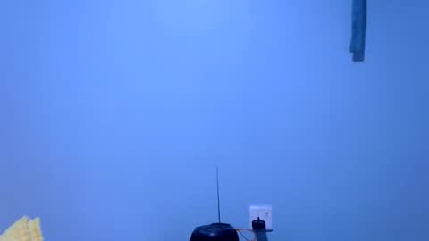 ebonybloom01 online show from 11.26.25