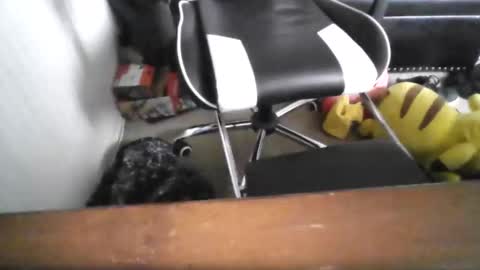 eddy815 online show from 11.24.25