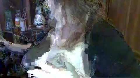 Snapshot of elenazed chatting on 10.06.25 ElenaZed online show from 10.06.25