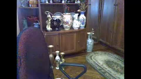 Snapshot of elenazed chatting on 11.05.25 ElenaZed online show from 11.05.25