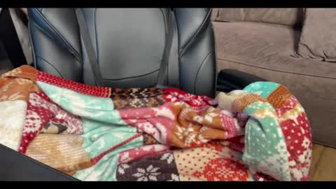 Snapshot of elisa_north chatting on 01.24.25 Elisa North online show from 01.24.25