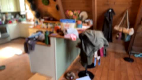 popalottapuss - puddin tits - daddy - buttercup - bonfire - Mrs. Fuck Yea - hibeams - honey buns - online show from 11.11.25