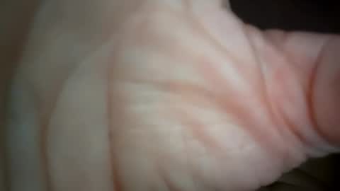 Snapshot of ethereumumm chatting on 10.31.25 ethereumumm online show from 10.31.25