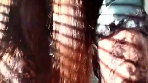 Snapshot of eva_depp chatting on 01.22.25 Evaa Depp online show from 01.22.25