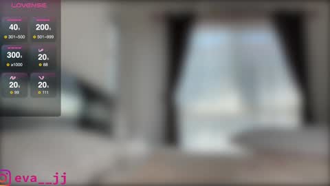 Snapshot of eva_j chatting on 12.12.24 Free toy control in pvt online show from 12.12.24