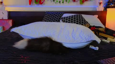 Eva online show from 12.08.24