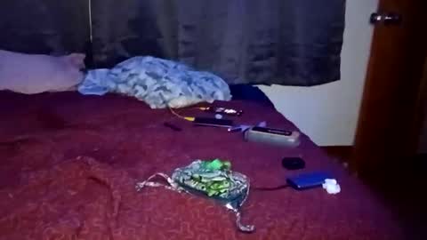 Snapshot of feetandmeat420 chatting on 10.29.25 feetandmeat420 online show from 10.29.25