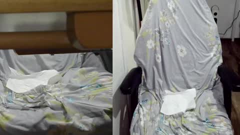 Snapshot of felixlau chatting on 01.22.25 felixlau online show from 01.22.25