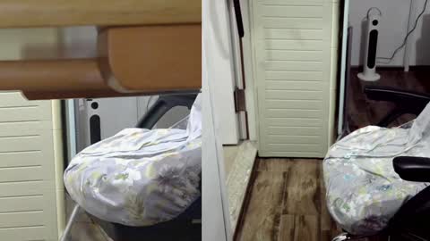 Snapshot of felixlau chatting on 01.26.25 felixlau online show from 01.26.25