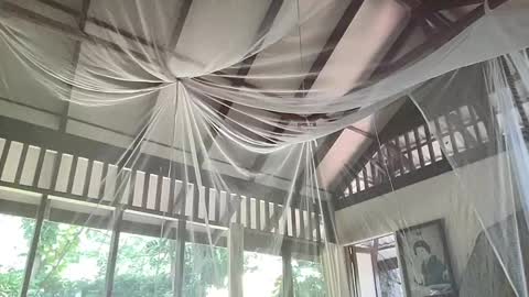 fluffy_bunnyxxx online show from 02.06.25