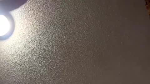 Have fun remembering u online show from 02.16.25