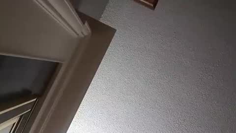 Snapshot of followthewhiterabbittail chatting on 10.02.25 Have fun remembering u online show from 10.02.25