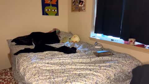 Snapshot of foxyredddd chatting on 01.09.25 beautiful blair online show from 01.09.25