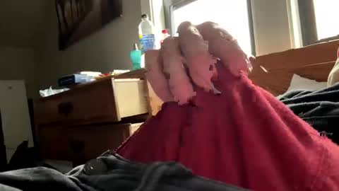 Snapshot of freezeskiii chatting on 11.18.25 freezeskiii online show from 11.18.25