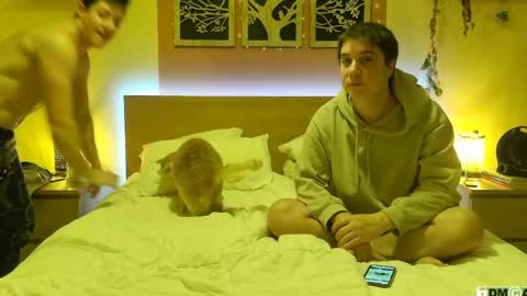 French Horny Bibs online show from 01.26.25